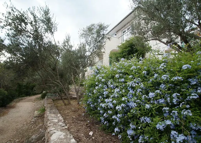 With Sea Views 公寓 *